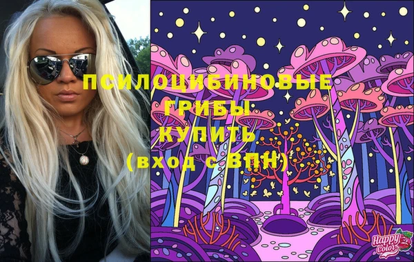 крисы Карталы