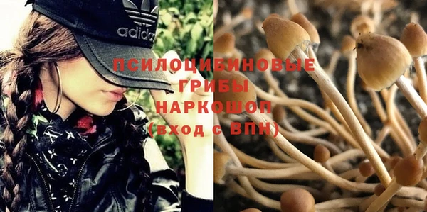 МДПВ Касимов