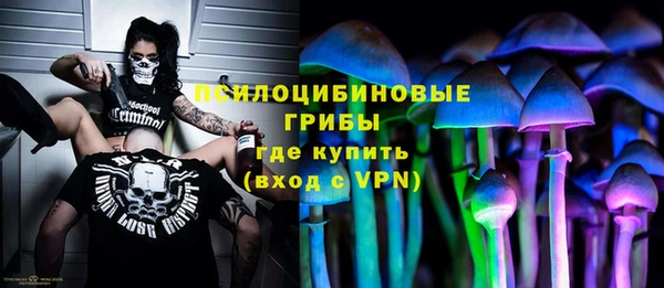 МДПВ Касимов