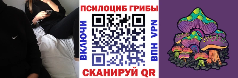 Купить где  Кондопога  Галлюциногенные грибы GOLDEN TEACHER 